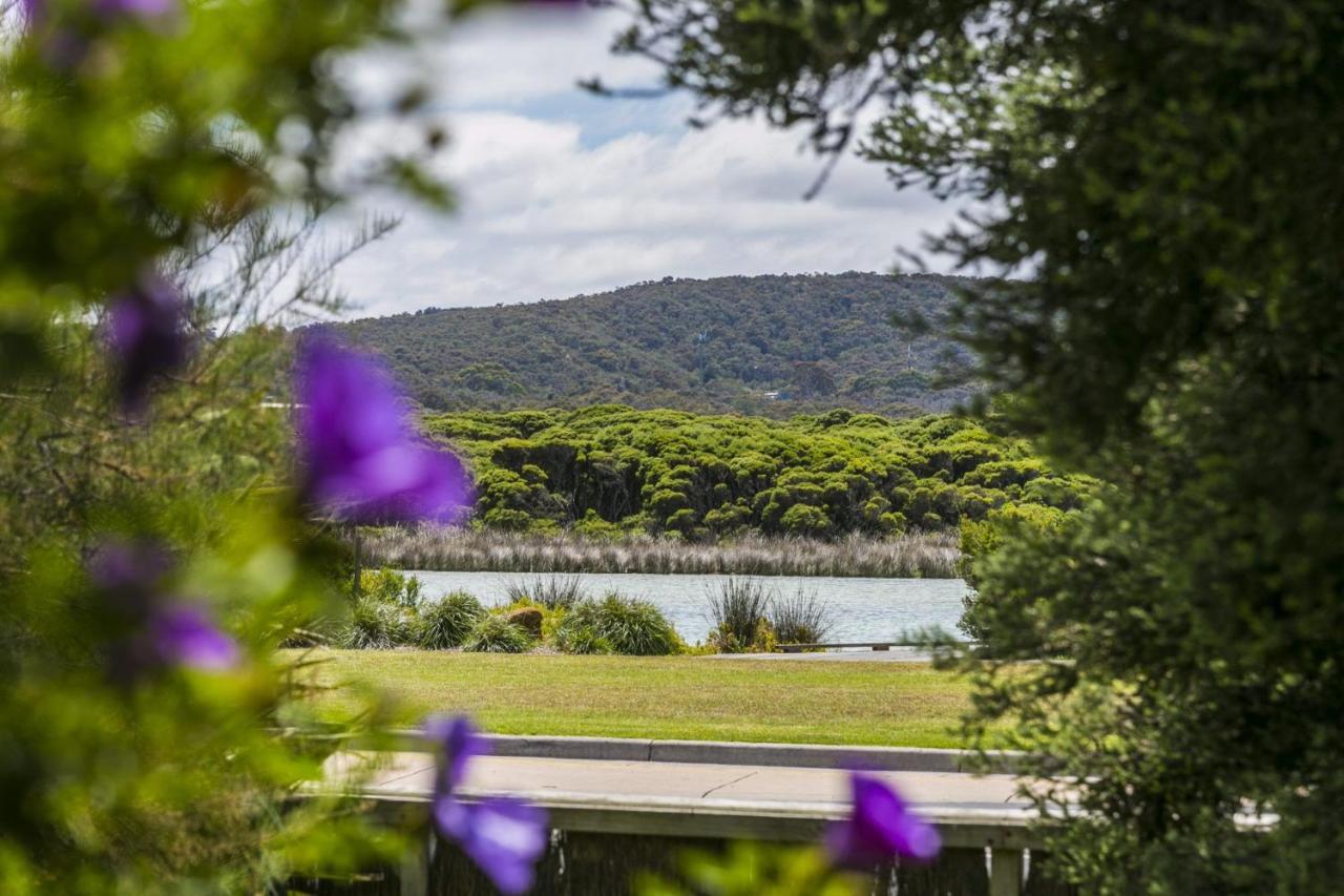 Rivernook Anglesea Ngoại thất bức ảnh